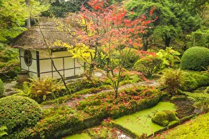 Thatched Tea House, Tatton Park, Cheshire, England Thatched Tea House, Tatton Park, Cheshire, England