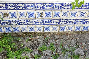 Images Dated 26th November 2013: Tiles of an old house near Cinfaes do Douro. Douro region, Portugal