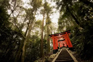 Fushimi Inari-taisha Torii Gate, Kyoto Japan. Art Prints