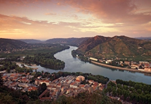 Vine Yard Gallery: Tournon sur Rhone