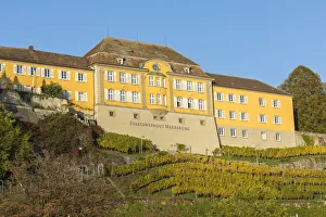 The town winery with its vineyard. Meersburg, Baden-WAA¼rttemberg, Germany The town winery with its vineyard. Meersburg, Baden-WAA¼rttemberg, Germany