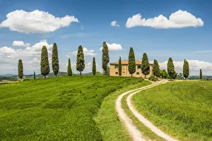 Track Leading to Il Cipressini Villa, Tuscany, Italy Track Leading to Il Cipressini Villa, Tuscany, Italy