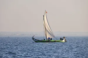 A traditional boat (moliceiro) in the Aveiro river. Portugal A traditional boat (moliceiro) in the Aveiro river. Portugal