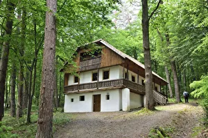 Traditional house in the forest. Bran, Brasov county Traditional house in the forest. Bran, Brasov county