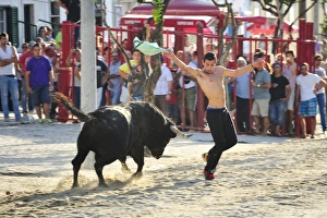 Traditional running of wild bulls during the Barrete Verde (Green Cap) festivities Traditional running of wild bulls during the Barrete Verde (Green Cap) festivities