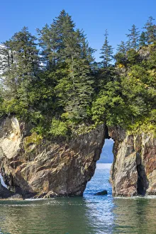 Trees on natural rock arch at Resurrection Bay, Kenai Peninsula Borough Trees on natural rock arch at Resurrection Bay, Kenai Peninsula Borough