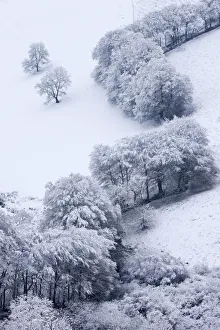 Trees in snow at the Punchbowl, Exmoor National Park, Somerset, England. Winter Trees in snow at the Punchbowl, Exmoor National Park, Somerset, England. Winter