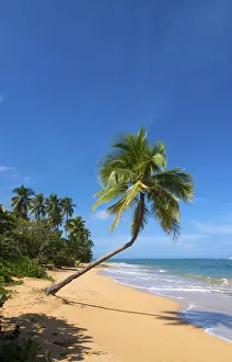 Tres Palmitas Beach, Loiza, Puerto Rico Tres Palmitas Beach, Loiza, Puerto Rico