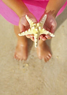 Related Images Gallery: Trinidad and Tobago, Tobago Island, Pigeon Point, Child holding starfish over sand (MR)