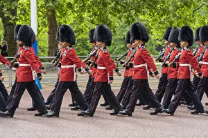 Changing Of The Guard Gallery: Trooping the Colour, London, England, Uk