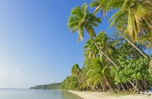 Images Dated 1st August 2012: Tropical beach, Nanuya Lailai Island, Yasawa island group, Fiji, South Pacific islands