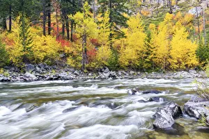 Tumwater Canyon in Autumn, Wenatchee National Forest, Washington, USA Tumwater Canyon in Autumn, Wenatchee National Forest, Washington, USA