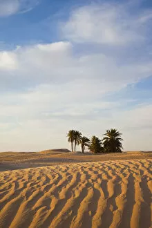 Tunisia, Sahara Desert, Douz, Great Dune