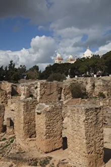 Tunisia, Tunis, Carthage, Byrsa Hill, Roman-era ruins Tunisia, Tunis, Carthage, Byrsa Hill, Roman-era ruins