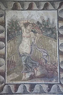 Tunisia, Tunis, Carthage, Byrsa Hill, Musee de Carthage, Roman-era mosaic detail Tunisia, Tunis, Carthage, Byrsa Hill, Musee de Carthage, Roman-era mosaic detail