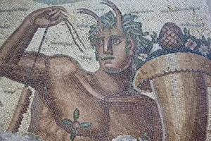 Tunisia, Tunis, Carthage, Byrsa Hill, Musee de Carthage, Roman-era mosaic detail Tunisia, Tunis, Carthage, Byrsa Hill, Musee de Carthage, Roman-era mosaic detail