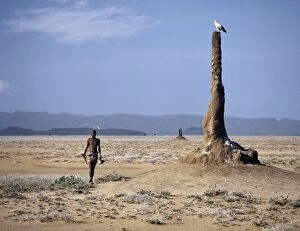 Kenya Lake System in the Great Rift Valley Gallery: A Turkana man strides purposefully across the treeless
