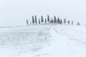 Leonardo Papera Gallery: Tuscan countryside during a blizzard, Val d Orcia, Tuscany, Italy