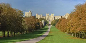 Windsor Collection: UK, England, Berkshire, Windsor, Windsor Castle, The Long Walk