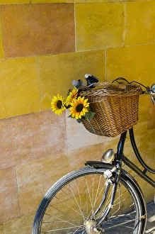 UK, England, Cambridge, Clare College, bicycle UK, England, Cambridge, Clare College, bicycle