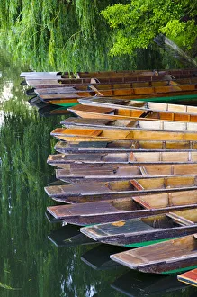 UK, England, Cambridge, River Cam, Punts UK, England, Cambridge, River Cam, Punts