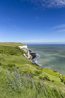 UK, England, Kent Dover The White Cliffs UK, England, Kent Dover The White Cliffs