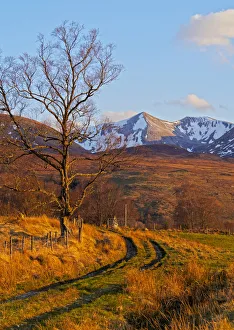 UK, Scotland, Highlands, Roy Bridge, View towards Stob Ban and the Grey Corries UK, Scotland, Highlands, Roy Bridge, View towards Stob Ban and the Grey Corries