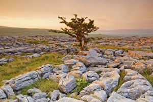 UK, United Kingdom, England, North Yorkshire, Ingleton UK, United Kingdom, England, North Yorkshire, Ingleton