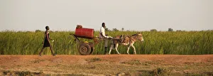 Unity State, South Sudan. Transporting goods in Leer Unity State, South Sudan. Transporting goods in Leer