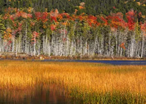 Upper Hadlock Pond in Autumn, Acadia National Park, Maine, USA Upper Hadlock Pond in Autumn, Acadia National Park, Maine, USA
