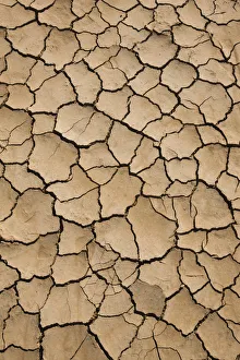 USA, California, Bombay Beach, Salton Sea area, dried lake bed USA, California, Bombay Beach, Salton Sea area, dried lake bed