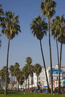 USA, California, Los Angeles, Venice, Venice Boardwalk USA, California, Los Angeles, Venice, Venice Boardwalk