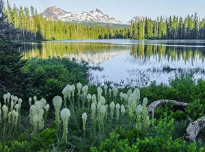 USA, Cascades, Oregon, mountains and Scott Lake with Bear Grass