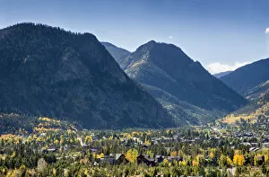 Aspen Trees Gallery: USA, Frisco, Colorado, Rocky Mountains, Autumn Foliage