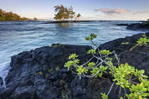 USA, Hawaii, Big Island, Keaukaha Beach USA, Hawaii, Big Island, Keaukaha Beach