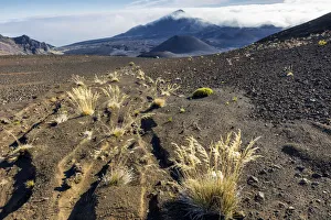 USA, Hawaii, Maui, Haleakale Nationalpark, Haleakala Crater USA, Hawaii, Maui, Haleakale Nationalpark, Haleakala Crater