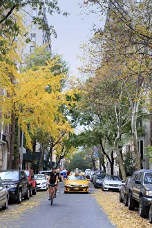 USA, New York City, Manhattan, Upper East Side USA, New York City, Manhattan, Upper East Side