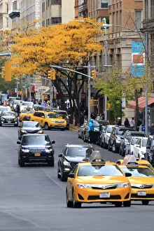 USA, New York City, Manhattan, Upper East Side, Madison Avenue USA, New York City, Manhattan, Upper East Side, Madison Avenue