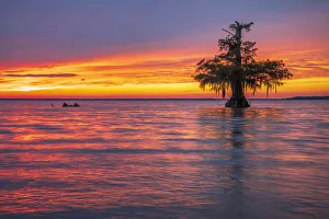 USA, South, Louisiana, Lafayette, Lake Faussee USA, South, Louisiana, Lafayette, Lake Faussee