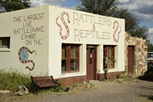 USA, Texas, West Texas, Fort Davis, Reptile shop USA, Texas, West Texas, Fort Davis, Reptile shop