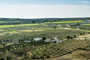 The vast plains of Alentejo with farms and olive trees. Portugal The vast plains of Alentejo with farms and olive trees. Portugal