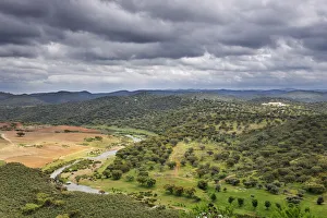 The vast plains of holm oaks in the region of Noudar. Alentejo, Portugal The vast plains of holm oaks in the region of Noudar. Alentejo, Portugal