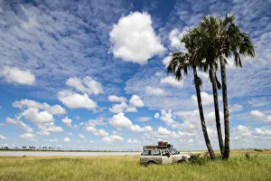 A vehicle parked under Palm Trees near the Makgadikgadi Salt Pans A vehicle parked under Palm Trees near the Makgadikgadi Salt Pans