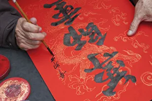 Vietnam, Hanoi, Temple of Literature, Calligrapher Vietnam, Hanoi, Temple of Literature, Calligrapher