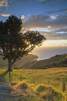 View of Firth of Thames at sunset, Coromandel Peninsula, North Island, New Zealand View of Firth of Thames at sunset, Coromandel Peninsula, North Island, New Zealand