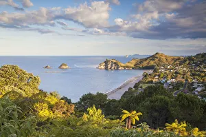 View of Hahei beach, Coromandel Peninsula, North Island, New Zealand View of Hahei beach, Coromandel Peninsula, North Island, New Zealand