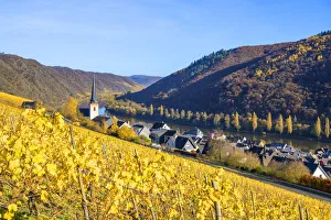 View at Klotten, Mosel valley, Eifel, Rhineland-Palatinate, Germany View at Klotten, Mosel valley, Eifel, Rhineland-Palatinate, Germany