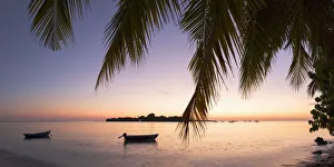 View of Kuramathi Island at sunset, Rasdhoo Island, Northern Ari Atoll, Maldives View of Kuramathi Island at sunset, Rasdhoo Island, Northern Ari Atoll, Maldives