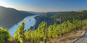 View of Oberwesel and River Rhine, Oberwesel, Rhineland-Palatinate, Germany View of Oberwesel and River Rhine, Oberwesel, Rhineland-Palatinate, Germany