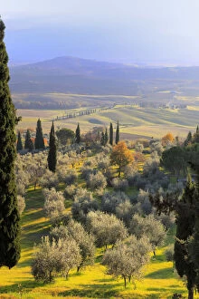 View of Val d'Orcia (Valdorcia), Pienza, Tuscany, Italy